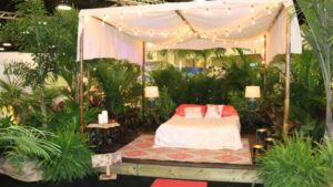 20 Trends That Dominated at TPIE