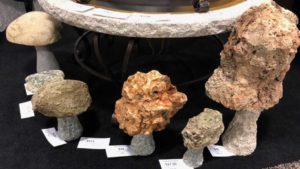 Garden Retailers at TPIE Highlight Their Favorite Products