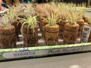 Wine Cork Magnet Planters (ArizonaEast, LLC)