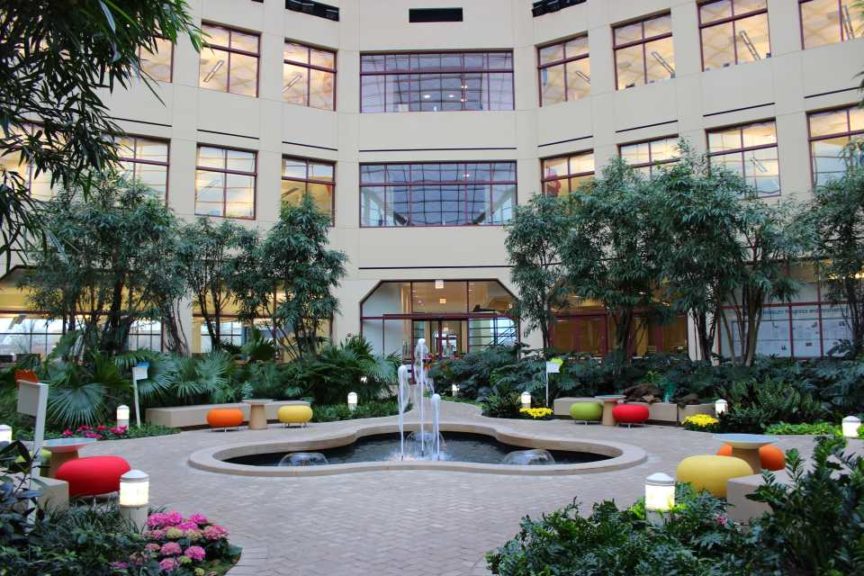 Wonderful Winter Garden (Foliage Design Systems)