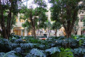 Wonderful Winter Garden (Foliage Design Systems)