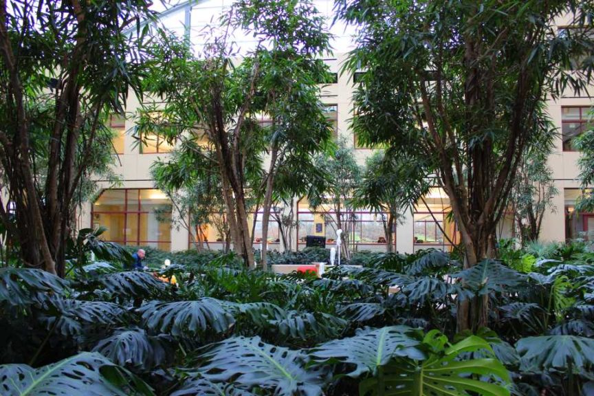 Wonderful Winter Garden (Foliage Design Systems)