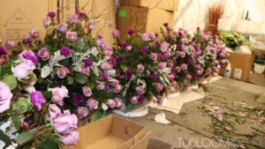 International Committee Reviews Future of Floriculture