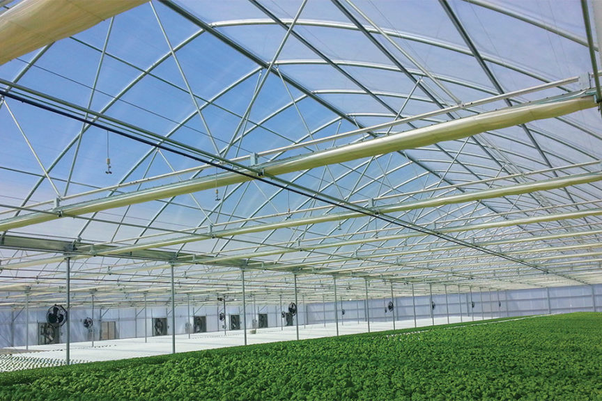 Continental (Agra Tech)