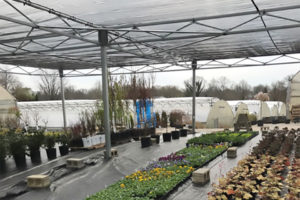 Flat Roof Fixed Shade (Rough Bros.)