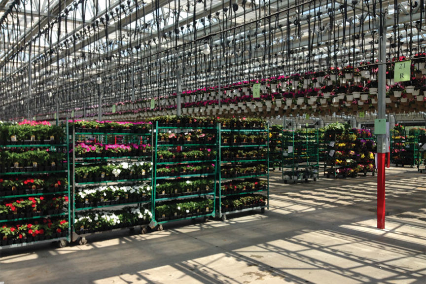 Flexible Shipping Facilities (Nexus)