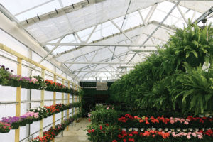 Grand Peak Gutter Connect (Atlas Manufacturing)