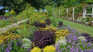 Longwood Garden’s Captivating Landscape Combinations — From the Public’s Perspective