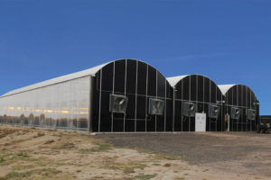 GrowSpan Series 1000 Greenhouse (GrowSpan)