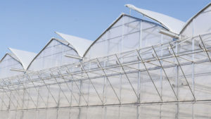 Greenhouse Structures Supplier GGS Acquired by Pipp Horticulture