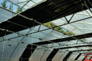 HopsHouse (Rough Bros.)