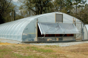 Jaderloon Freestanding (The Greenhouse Company of South Carolina)