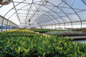 North Slope (Agra Tech)