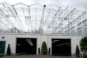 Skyline Greenhouse (Westbrook Greenhouse Systems)
