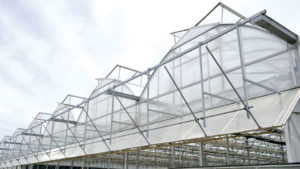 Top 100 Growers Continuing to Invest in New Building Projects