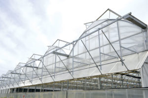 Solar Glass Greenhouse (Westbrook Greenhouse Systems)