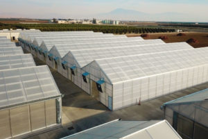 Solar Light (Agra Tech)