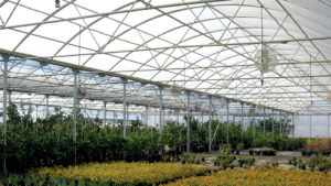 The State of the Greenhouse Structures Industry in 2019