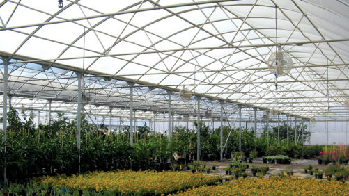 The State of the Greenhouse Structures Industry in 2019