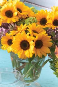 Sunflower 'Sunrich Provence Summer' (American Takii)