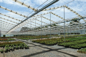 X-Frame Retractable Roof Greenhouse and Shadehouse (Cravo)