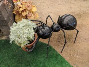 Watch Out, Artemesia!