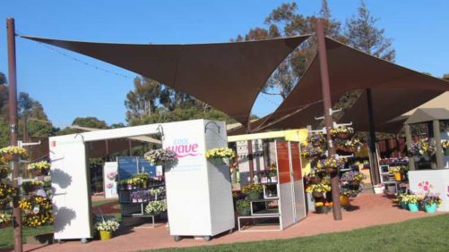 California Spring Trials 2018: New Plants From Green Fuse Botanicals, Floranova, Vegetalis, and Ball Horticulture