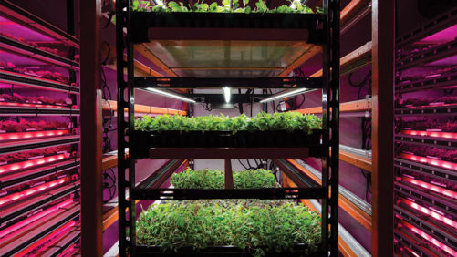 Latest Research on Indoor Farming Now Just a Click Away