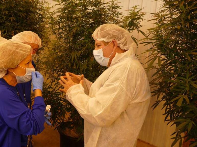 ForwardGro Advances Cannabis Knowledge in the State