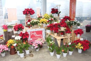 Christmas Decorating Ideas