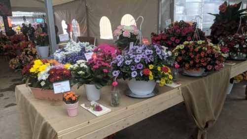 6 Cool Trends From California Spring Trials