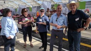 Spring Trials Rookie Inspired by Connections