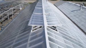 Maintaining a Microclimate: The Delicate Art of Temperature Control