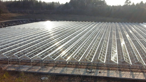 Grower Direct Farms Expects Minimal Disruption in Filling Orders Following Fire