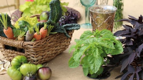 Kelly Norris: Growing an Edible Category That Looks Good and Tastes Good