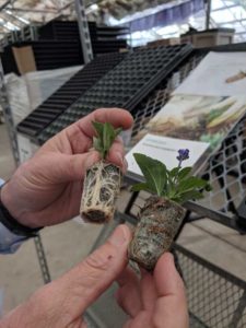 Growcoon Biodegradable Plug & Liner Wrap