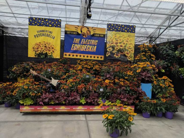 Pacific Plug & Liner