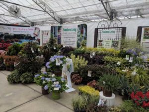 Southern Living & Sunset Western