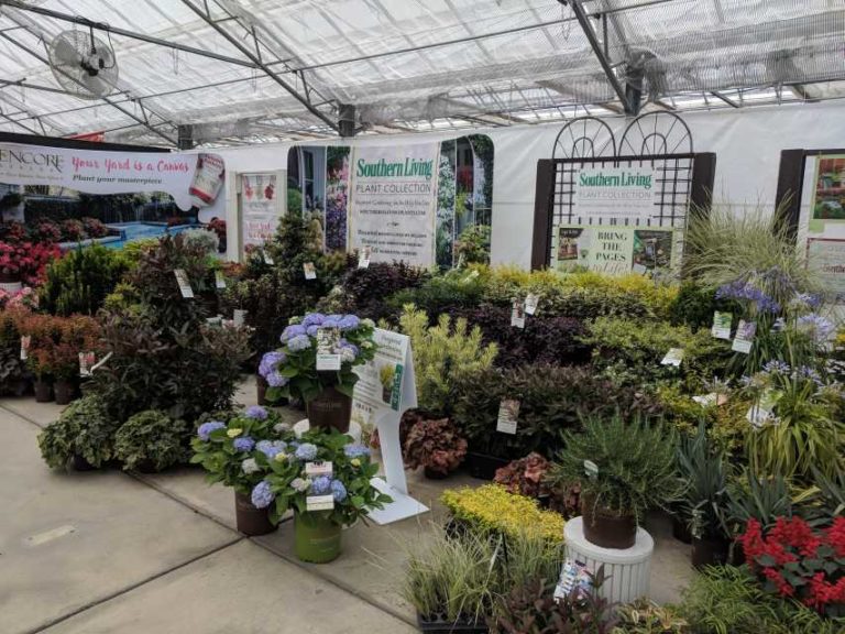 Southern Living & Sunset Western