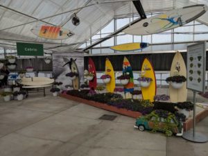 Cabrio California Dreaming