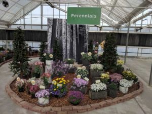 Perennial Woodland Creatures