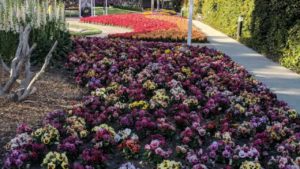 California Dreaming Takes on a Whole New Meaning at CAST 2018