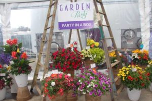 Garden in a Box combos (Dümmen Orange)