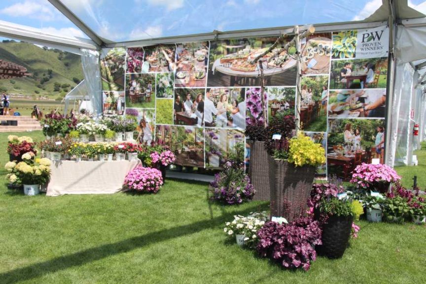 Proven Winners' Gardener's Idea Book