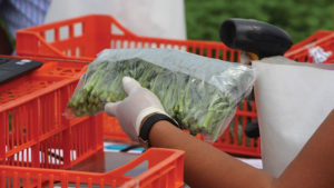 What the APHIS Plant Import Rules Restructuring Means for You