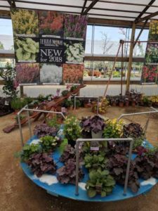 A Picnic in the Park!