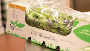 Romaine Recall: Greenhouse Growers Make a Case for Food Safety