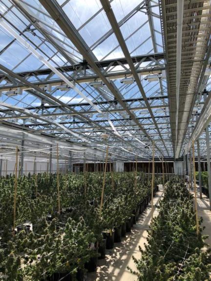 ForwardGro Greenhouses