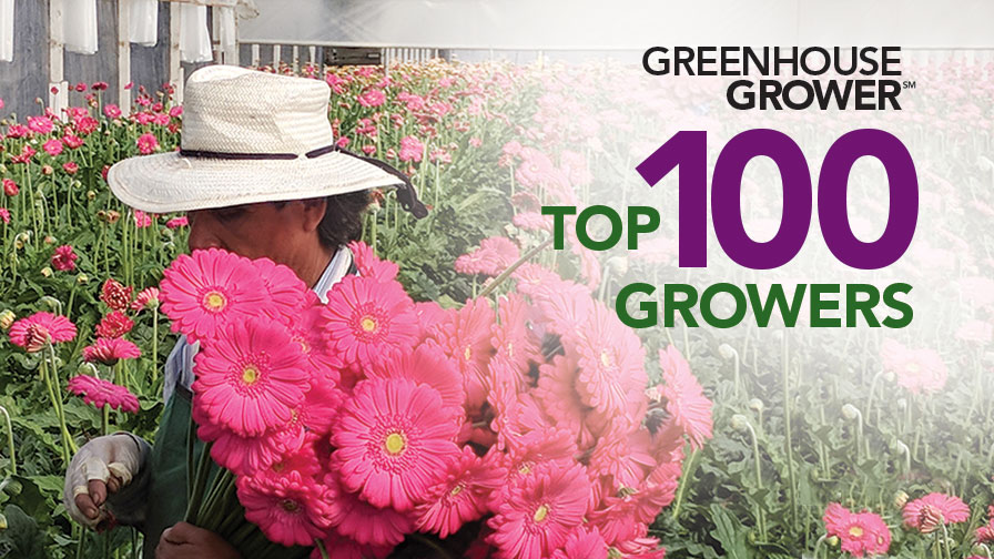 2018 Top 100 Growers