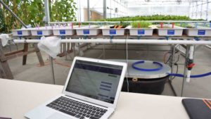 Smithers-Oasis, Agrilyst to Make Crop Management Tools More Accessible